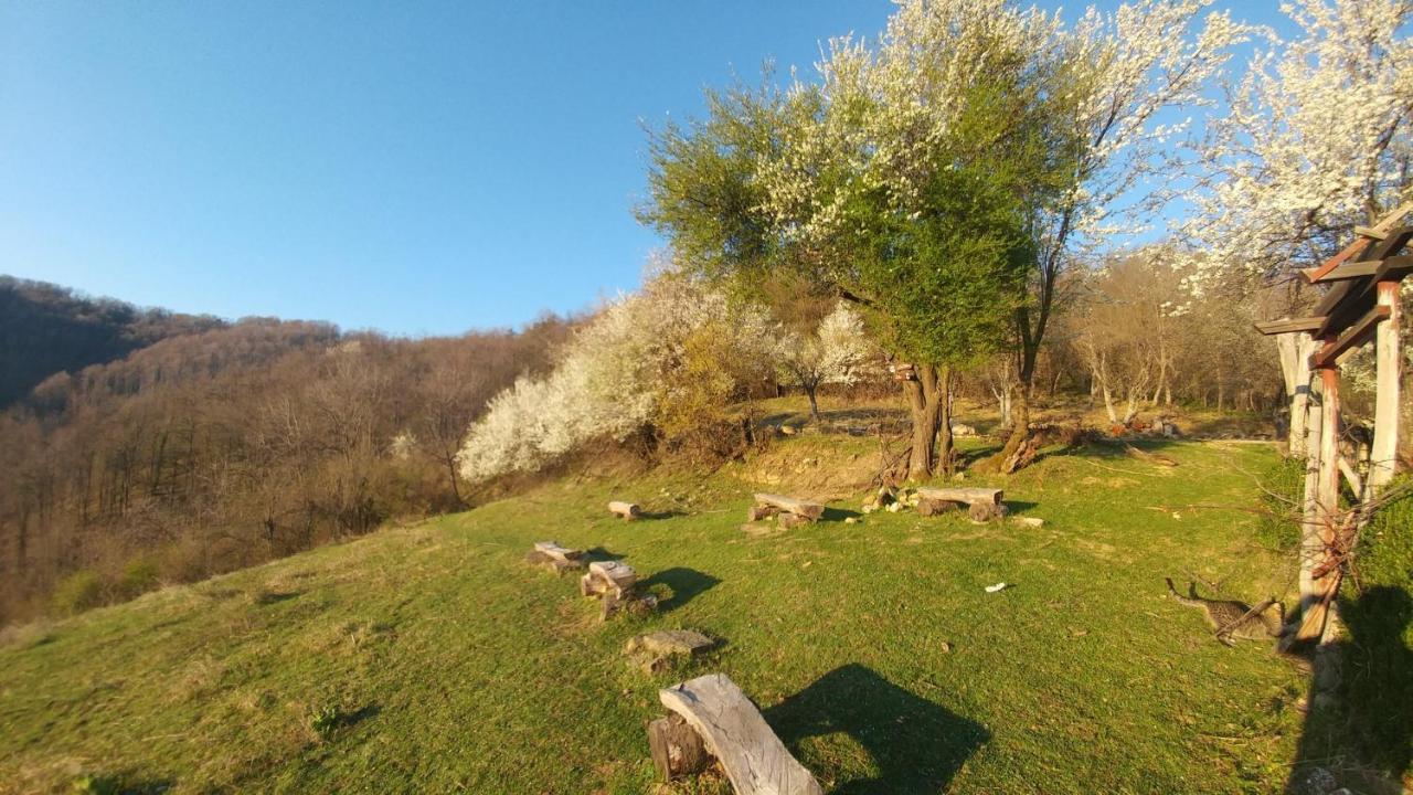 Арт Комплекс Горски Дом - Трявна ภายนอก รูปภาพ